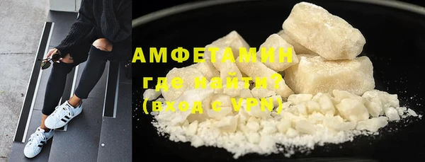 ПСИЛОЦИБИНОВЫЕ ГРИБЫ Новозыбков