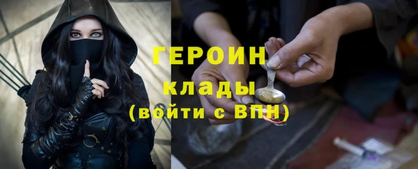 ПСИЛОЦИБИНОВЫЕ ГРИБЫ Новозыбков
