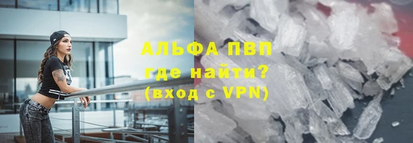 ПСИЛОЦИБИНОВЫЕ ГРИБЫ Новозыбков