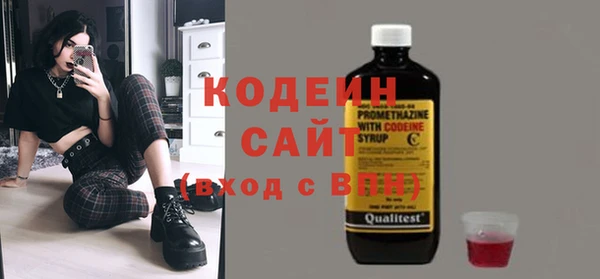 ПСИЛОЦИБИНОВЫЕ ГРИБЫ Новозыбков