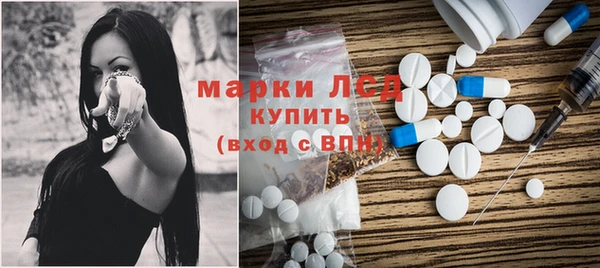 ПСИЛОЦИБИНОВЫЕ ГРИБЫ Новозыбков