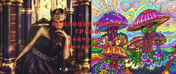 ПСИЛОЦИБИНОВЫЕ ГРИБЫ Новозыбков