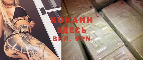 ПСИЛОЦИБИНОВЫЕ ГРИБЫ Новозыбков