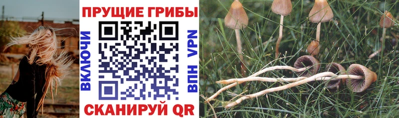 Псилоцибиновые грибы MAGIC MUSHROOMS  Армянск 